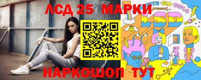 гашик Сланцы