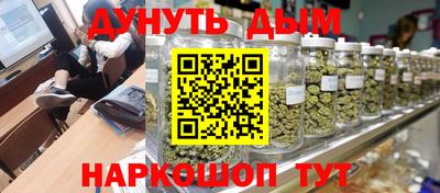 гашик Сланцы