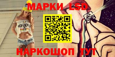 гашик Сланцы