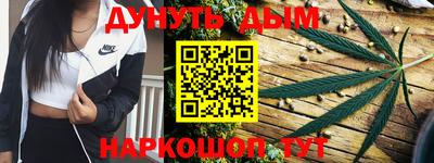 гашик Сланцы