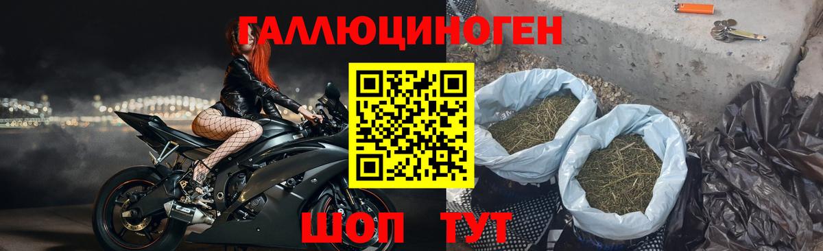 Галлюциногенные грибы Psilocybine cubensis Сатка